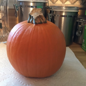 Recipes 101/Pumpkin